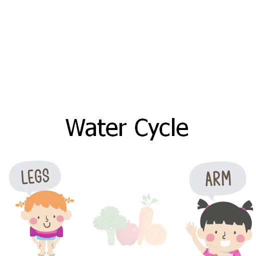 Water Cycle